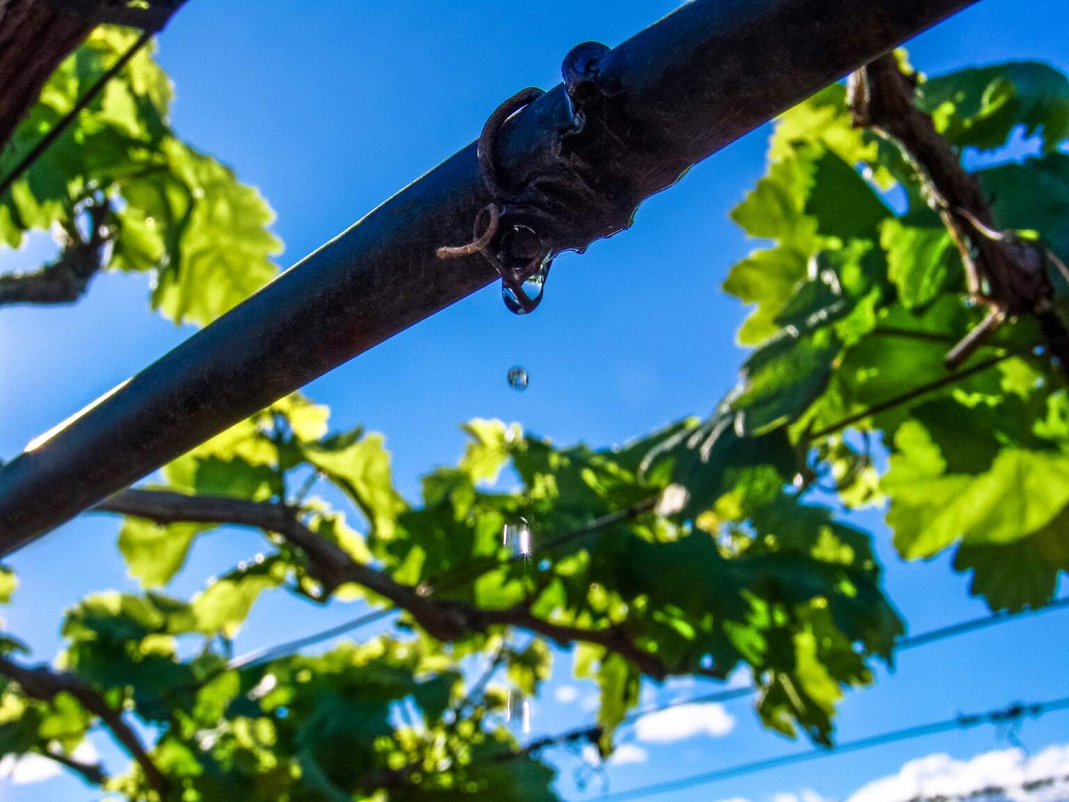 Estos equipos vitales brindan a los productores y viticultores de Mendoza el acceso esencial a una distribución de agua consistente, confiable y eficiente a sus campos.